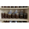 allhealthy honey stock
