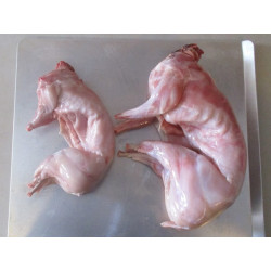Fresh Rabbit Meat Nairobi | KES 750/kg | All Healthy Farm